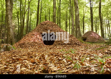 Leaf shelter in Dorset woods, England, UK Stock Photo - Alamy