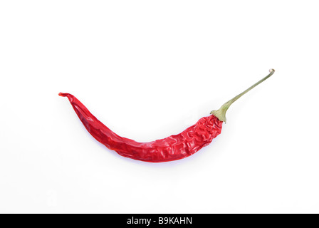 A single red chilli pepper against a white background Stock Photo - Alamy