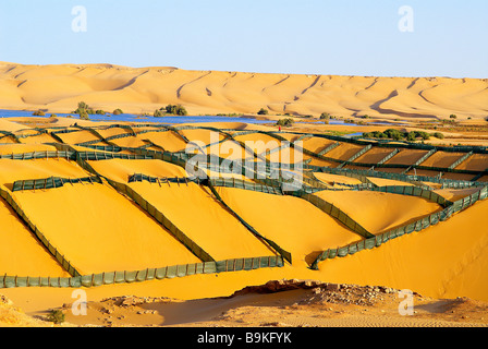 Morocco, South Morocco, Laayoune area, desert and laguna, dunes protection system(former Spanish Sahara) Stock Photo