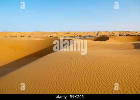 Morocco, South Morocco, Laayoune area, desert and laguna (former Spanish Sahara) Stock Photo