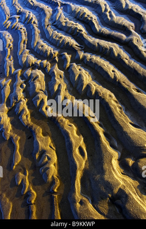 Patterns and ripples in the sand at the Spurn Point National Nature Reserve on the Yorkshire coast Stock Photo