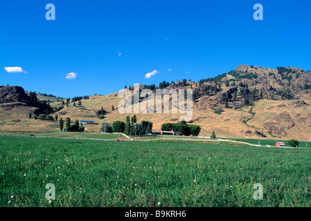 Agricultural Farm Land at Midway in the Kettle Valley in the Kootenay Boundary Region of British Columbia Canada Stock Photo