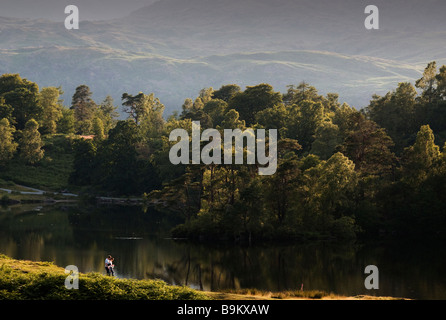 Tarn Hows in the English Lake District. Stock Photo