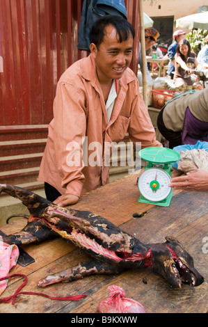 dog meat a specialty in Vietnam for sale in a market near Sapa Stock Photo