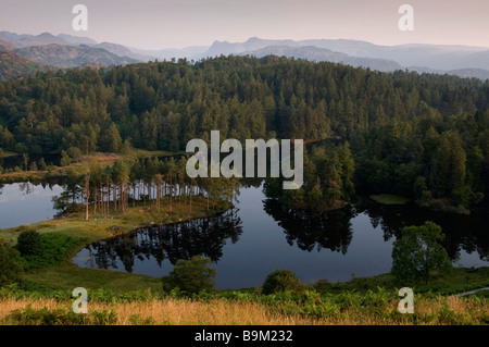 Tarn Hows in the English Lake District. Stock Photo