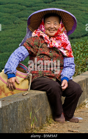Taiwan, Nantou district, Lugu mountains, Oolong Tea plantations, considered as one of the best in the world, tea picker Chen Stock Photo