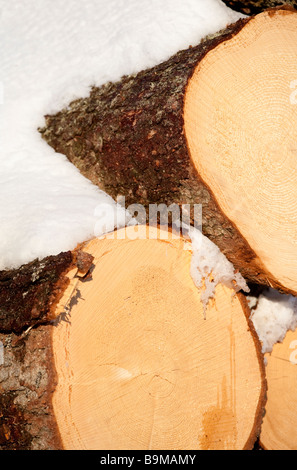 Sawed log heads , Finland Stock Photo