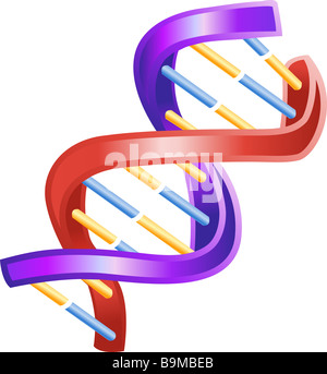 An illustration of a shiny DNA double helix icon Stock Photo