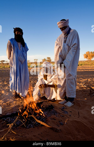 Mauritania, Adrar, Chinguetti area, Leguerara Stock Photo