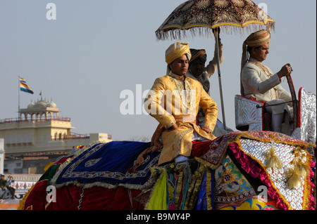 The Elephant Festival of Jaipur, in Rajasthan, India Stock Photo