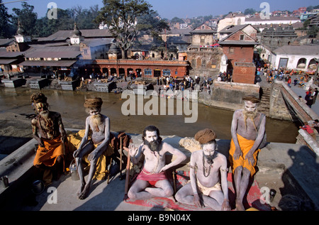 Nepal, Kathmandu Valley, classified as World Heritage by UNESCO, Kathmandu, Pashupatinath, sadhus in front of the sacred Stock Photo