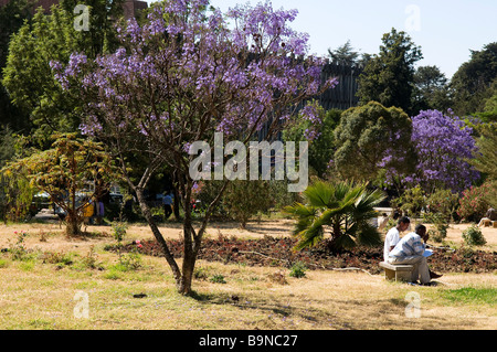 garden, addis abeba, ethiopia, africa 1920 1930 Stock Photo - Alamy