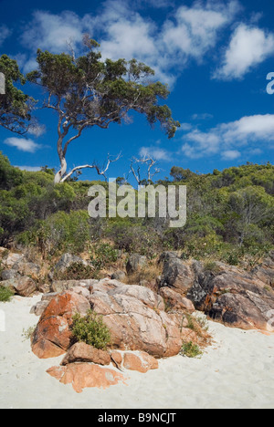 Australian beach and native bush scene, Western Australia Stock Photo