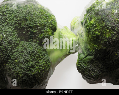 shrink wrapped pre packed plastic packaging on broccoli from a supermarket Stock Photo