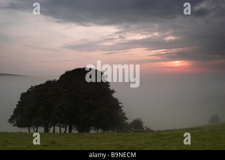 Storm clouds gather at dawn on a misty South Downs in West Sussex. Stock Photo