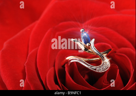 Ring in a white rose A jewelry on a blossoming bud of a flower Stock Photo