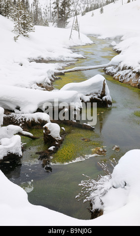 Obsidian Creek with green cyanobacterial mats heated geothermally in winter in Yellowstone Wyoming Stock Photo