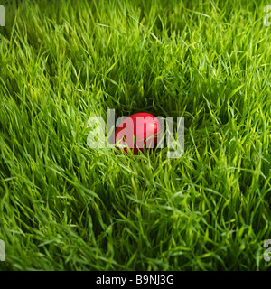 red Easter egg hidden in grass Stock Photo