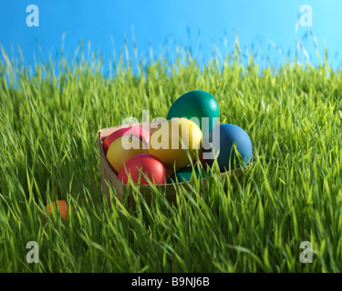 colored Easter eggs in a basket in the grass Stock Photo
