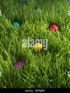 colored eggs scattered in grass Stock Photo