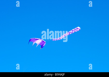 One purple and white kite with tail or streamer flying with [clear deep blue sky] Stock Photo