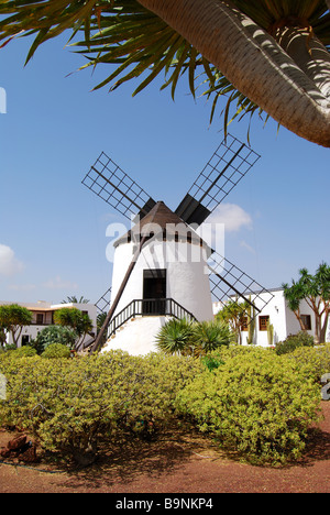 Traditional windmill, Centro de Artesania Molino de Antigua, Antigua, Fuerteventura, Canary islands, Spain Stock Photo