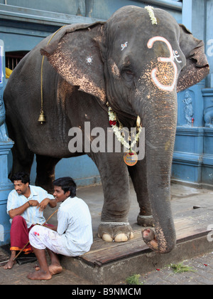 India Puducherry Pondicherry temple elephant with keepers Stock Photo