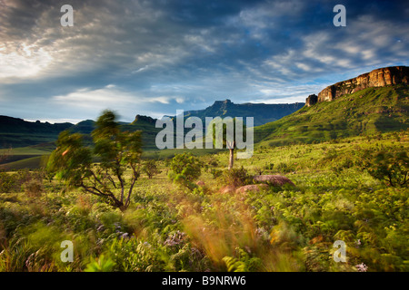 the Ampitheatre, Royal Natal National Park, Drakensberg Mountains, KwaZulu Natal, South Africa Stock Photo