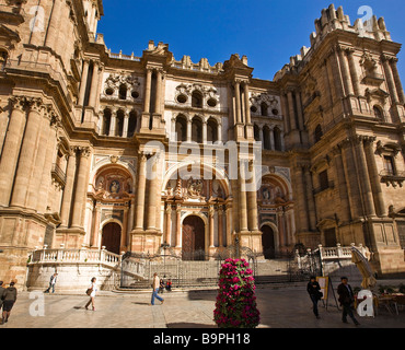 Plaza del Obispo / Malaga Cathedral, Spain Stock Photo