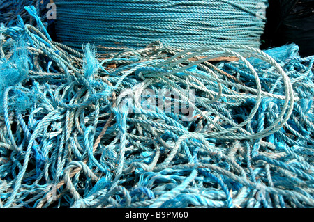 Blue rope used for assembling polytunnels for strawberry farming, with discarded off cuts in the foreground. Stock Photo