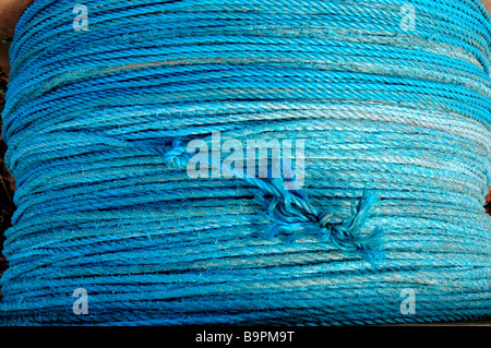 Blue rope used for assembling polytunnels for strawberry farming. Stock Photo