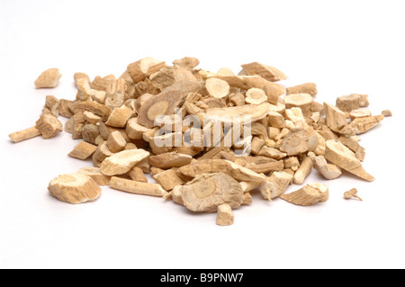 Dried roots of the medicinal plant Färberwaid Blaue Tauwurzel Common Dyer s Weed Woad Isatis tinctoria Stock Photo