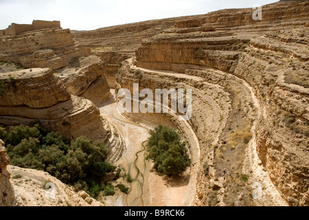 Tunisia, south region, mountain oasis and canyon of Mides Stock Photo