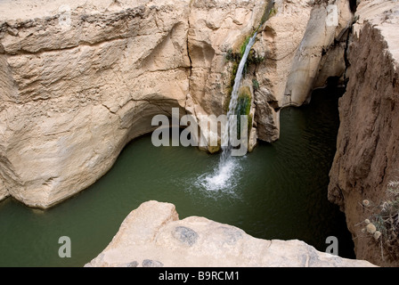Tunisia, south region, mountain oasis and waterfalls of Tamerza Stock Photo