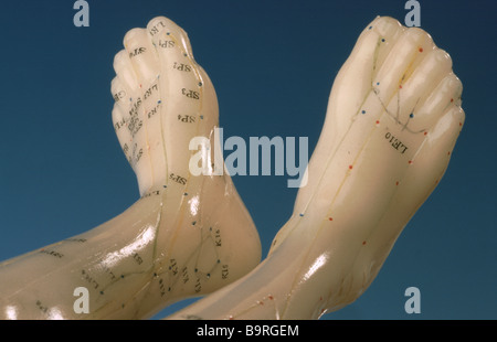 Acupuncture points of the human body here shown on a trainings model Stock Photo