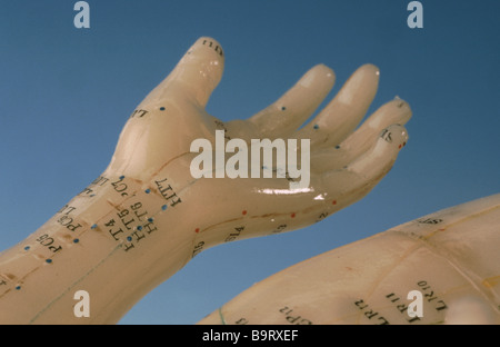 Acupuncture points of the human body here shown on a trainings model Stock Photo