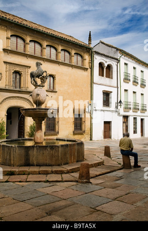 Plaza del Potro and Provincial Museum of Fine Arts Cordova Andalusia Spain Stock Photo