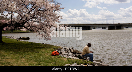 Man sits on the bank of the Potomac river during cherry blossom season - Washington DC USA Stock Photo