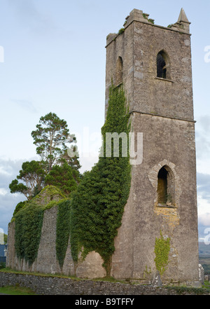 Kenmare Abbey Overgrown. Vines and trees grow profusely over and in this now abandoned Abbey church. Stock Photo