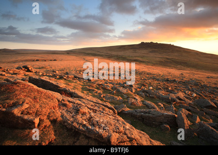 West Mill Tor (500 Metres) , view from Row Tor, early spring, Dartmoor, Devon, England, UK Stock Photo