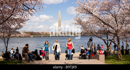 Visitors at the Washington DC tidal basin during cherry blossom season Stock Photo