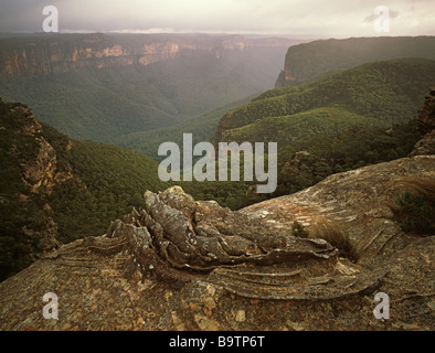Ironstone and snow storm on Mt Banks overlooking the Grose Valley.  Blue Mountains National Park, NSW Australia Stock Photo