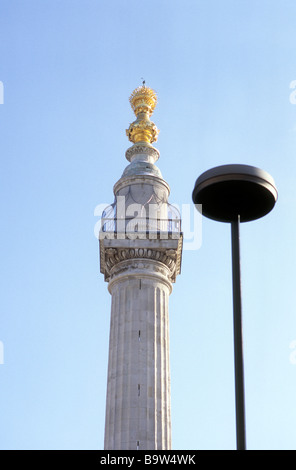 The Monument to the Great Fire of London in the City of London Stock Photo