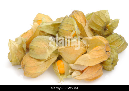 Physalis fruits isolated on white background Stock Photo