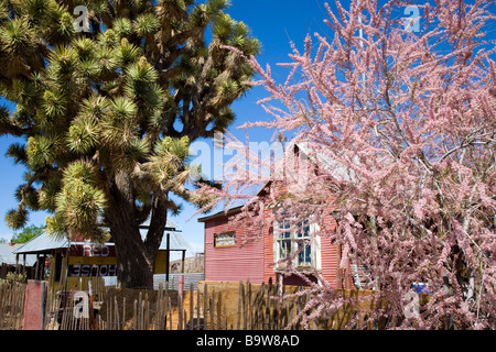 Ramshackle buildings in the Wild West Mining Town of Chloride, Arizona, USA Stock Photo