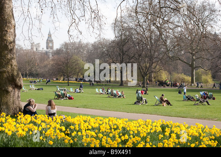 People and daffodils in St James's Park. London, England, UK Stock Photo