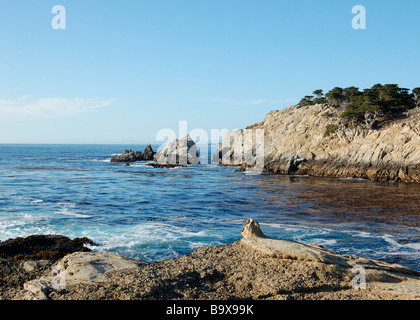 Point Lobos State Reserve Cliffs Stock Photo