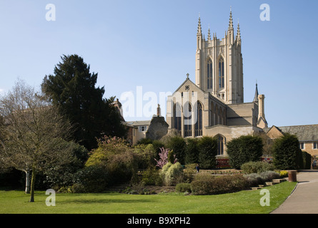 A view of 'St Edmunds' Cathedral from the Abbey Gardens in 'Bury St Edmunds', Suffolk, England, UK. Stock Photo