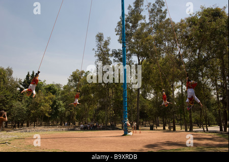 Four voladores coming down in the trees in Mexico City, by the Anthropological Museum Stock Photo