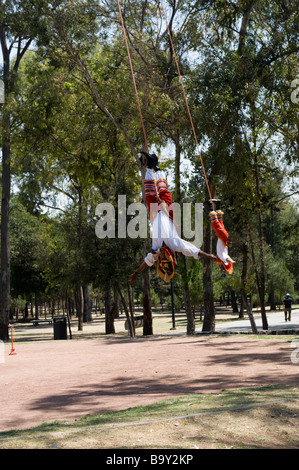 Two voladores coming down in the trees in Mexico City, by the Anthropological Museum Stock Photo